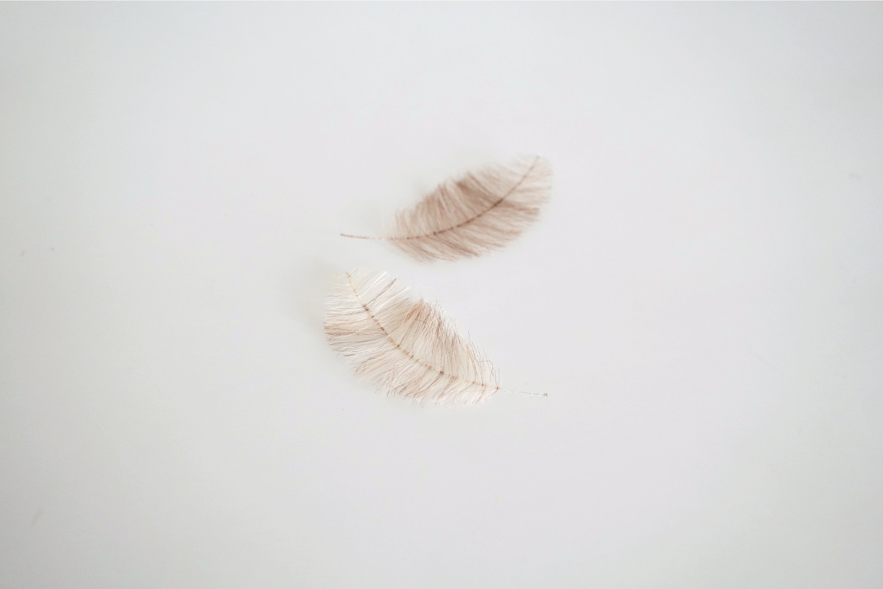 Feather | 羽 - 张 潇月|Yiy Zhang
