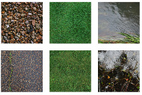 charlottefelicitysmith