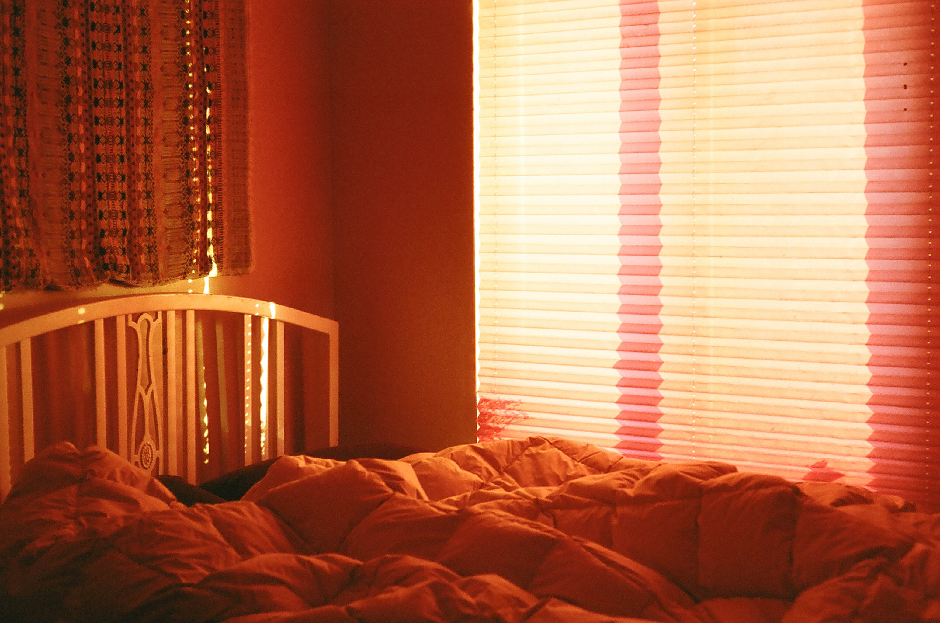 Texture & Color Studies - Julia Zell