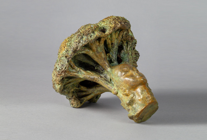 TESTA DI CAVOLO SERENA VESTRUCCI