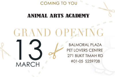 pet lovers centre balmoral