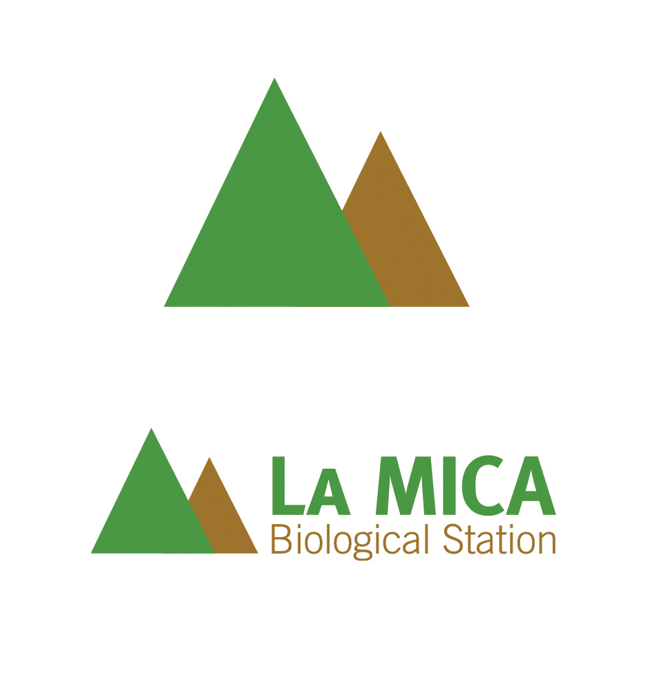 La MICA David Mizelle