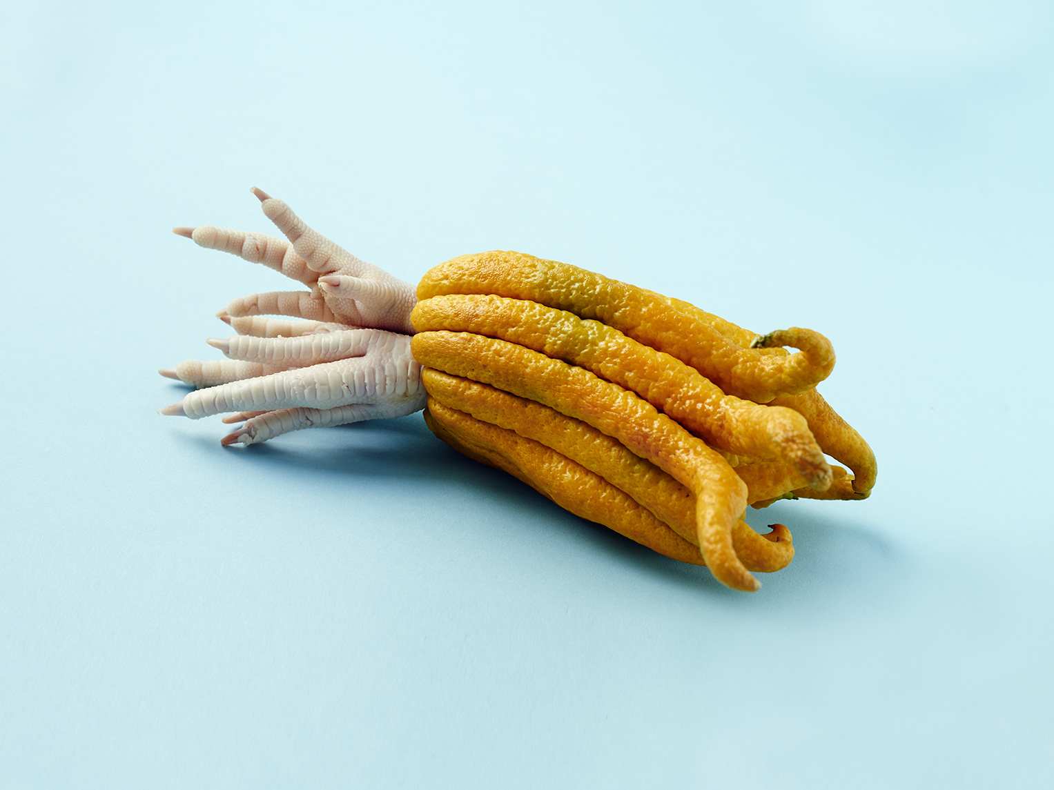 Still Life Maciek Jasik Photography still-life-maciek-jasik-photography