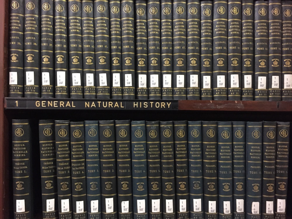 Natural History Museum Library All the Libraries in London