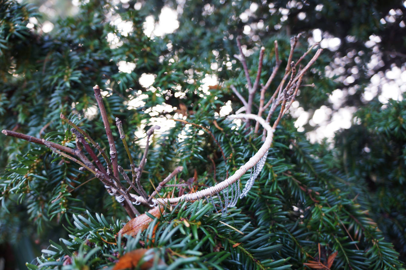 Branches crown Alice Cui