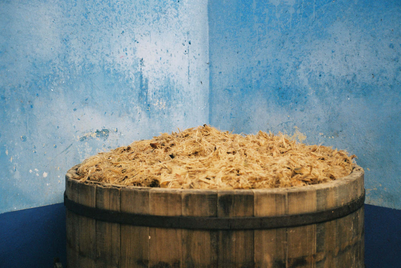 mezcal production - Isabel McCabe Photography