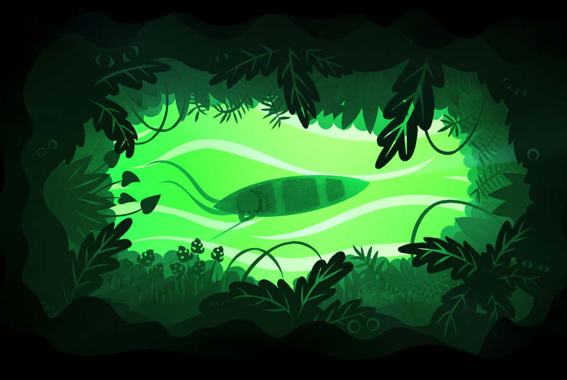 Character Design - laurenade