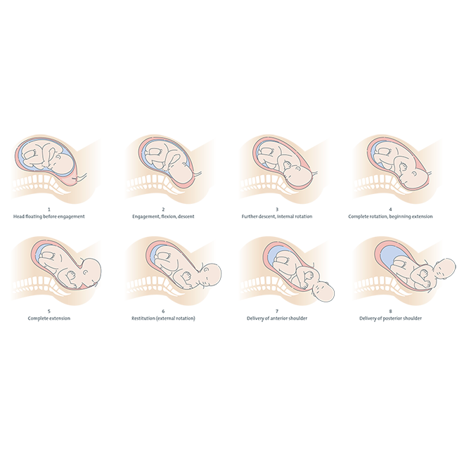 Epworth icons diagrams Leanne Bock