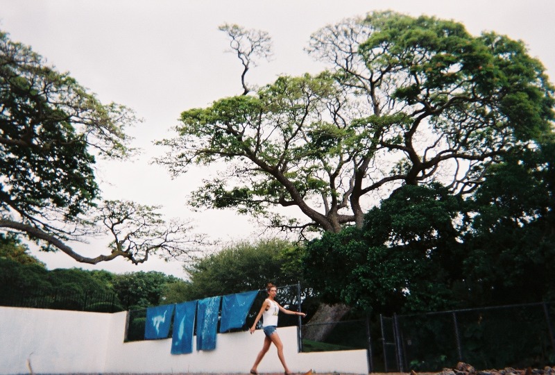 The Blanket Appeal of Giant Cyanotypes the Culture Bomb