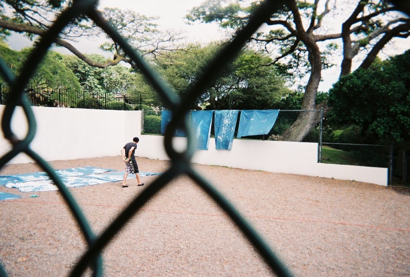 The Blanket Appeal of Giant Cyanotypes the Culture Bomb