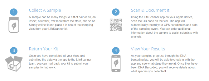 LIFESCANNER - Kenneth Lai UX Designer