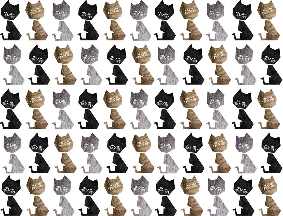 Rumah Kucing Garong - Gema Semesta