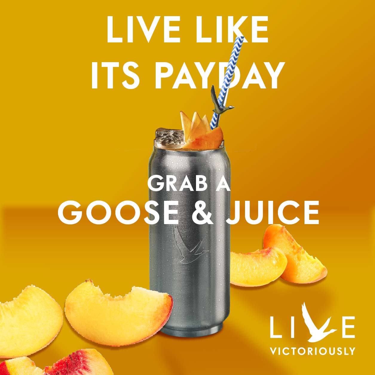 Grey Goose and juice Andy Regan