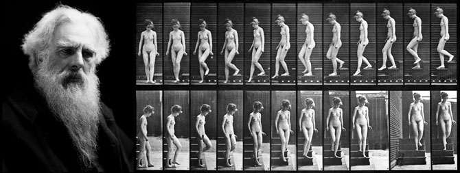 Muybridge-1.jpg