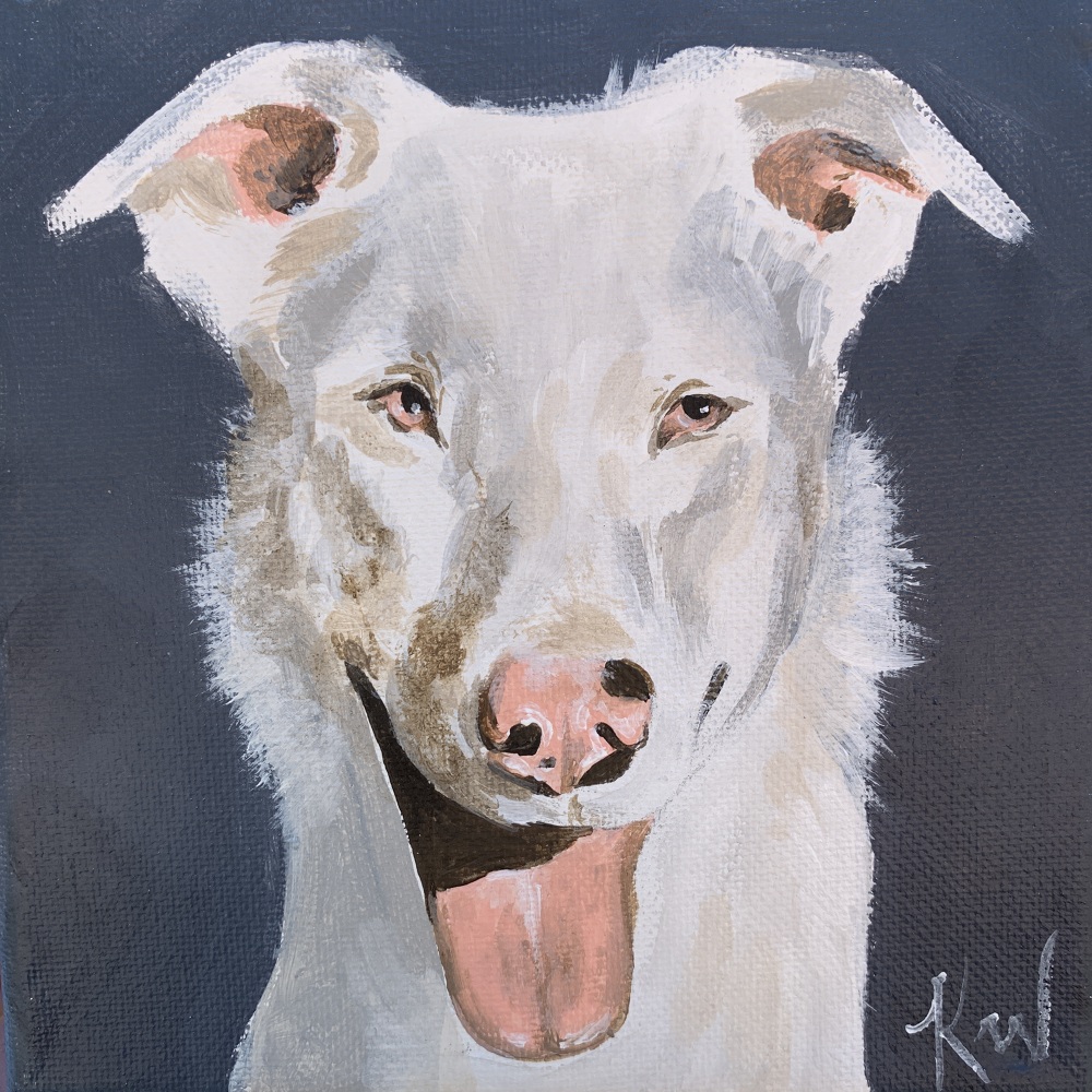 Chewy Pet Portraits Kali Wallace