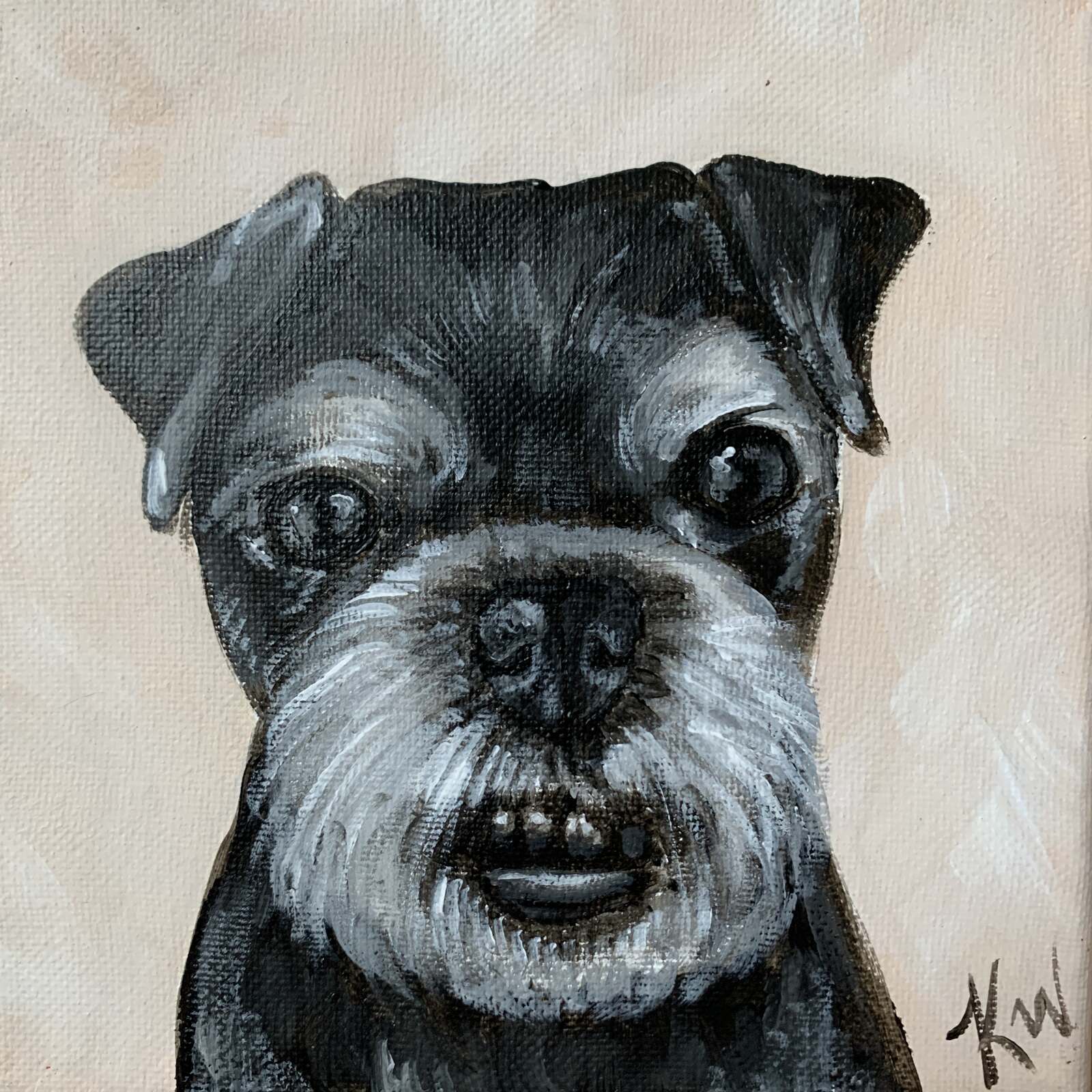 Chewy Pet Portraits Kali Wallace
