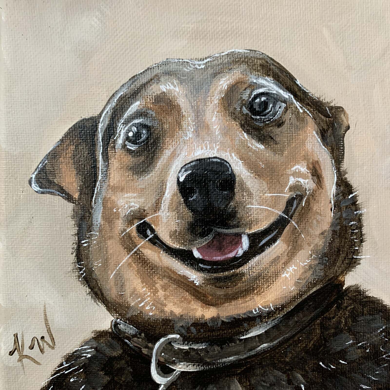 Chewy Pet Portraits Kali Wallace