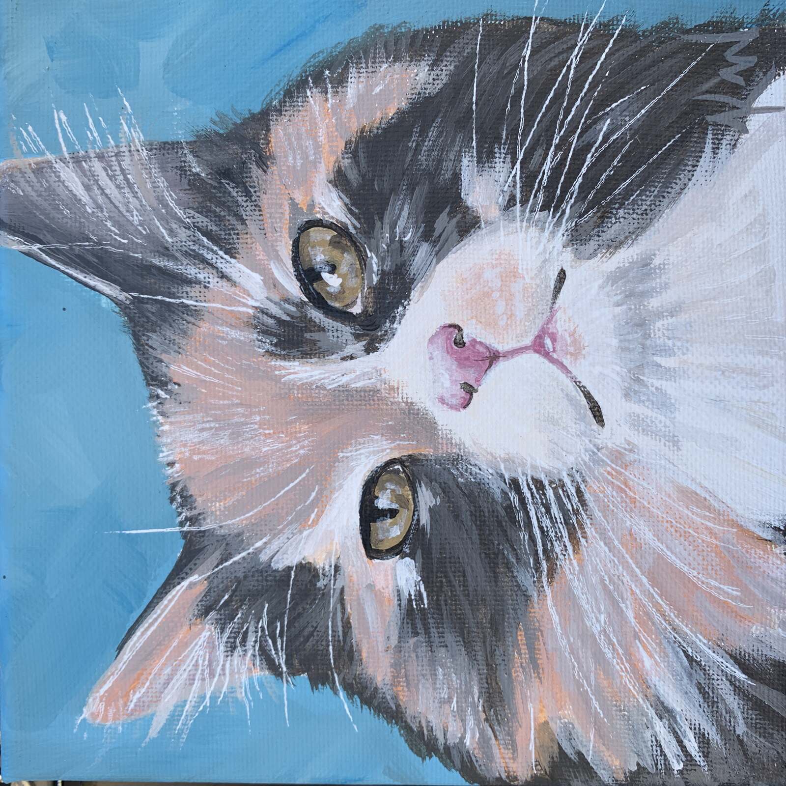 Chewy Pet Portraits Kali Wallace