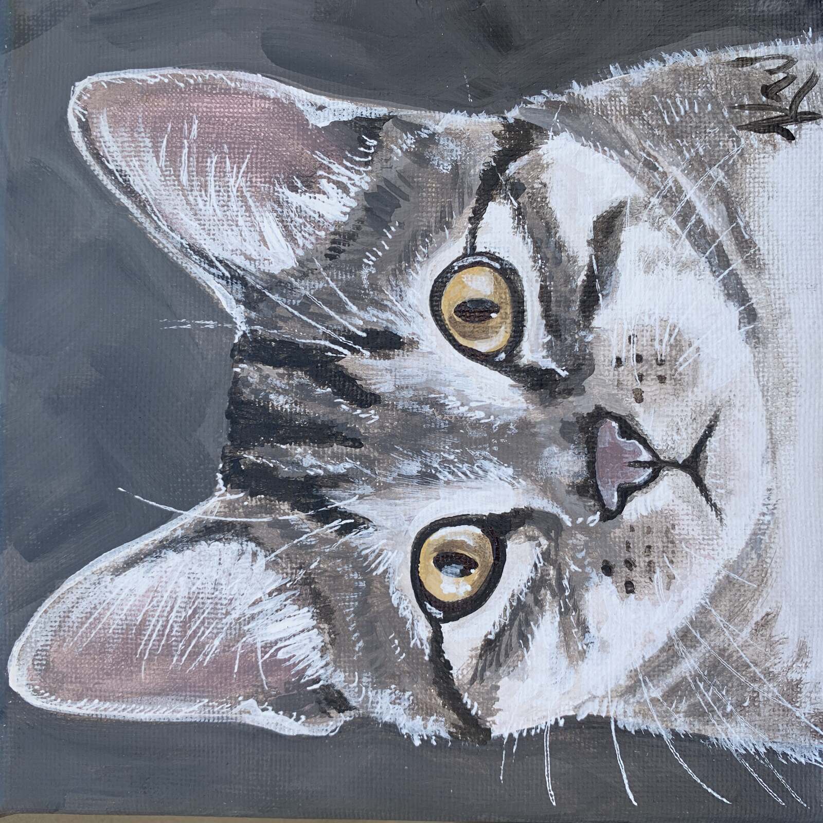 Chewy Pet Portraits Kali Wallace