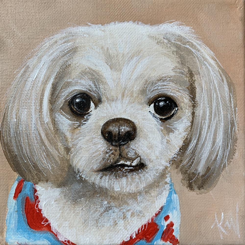 Chewy Pet Portraits Kali Wallace