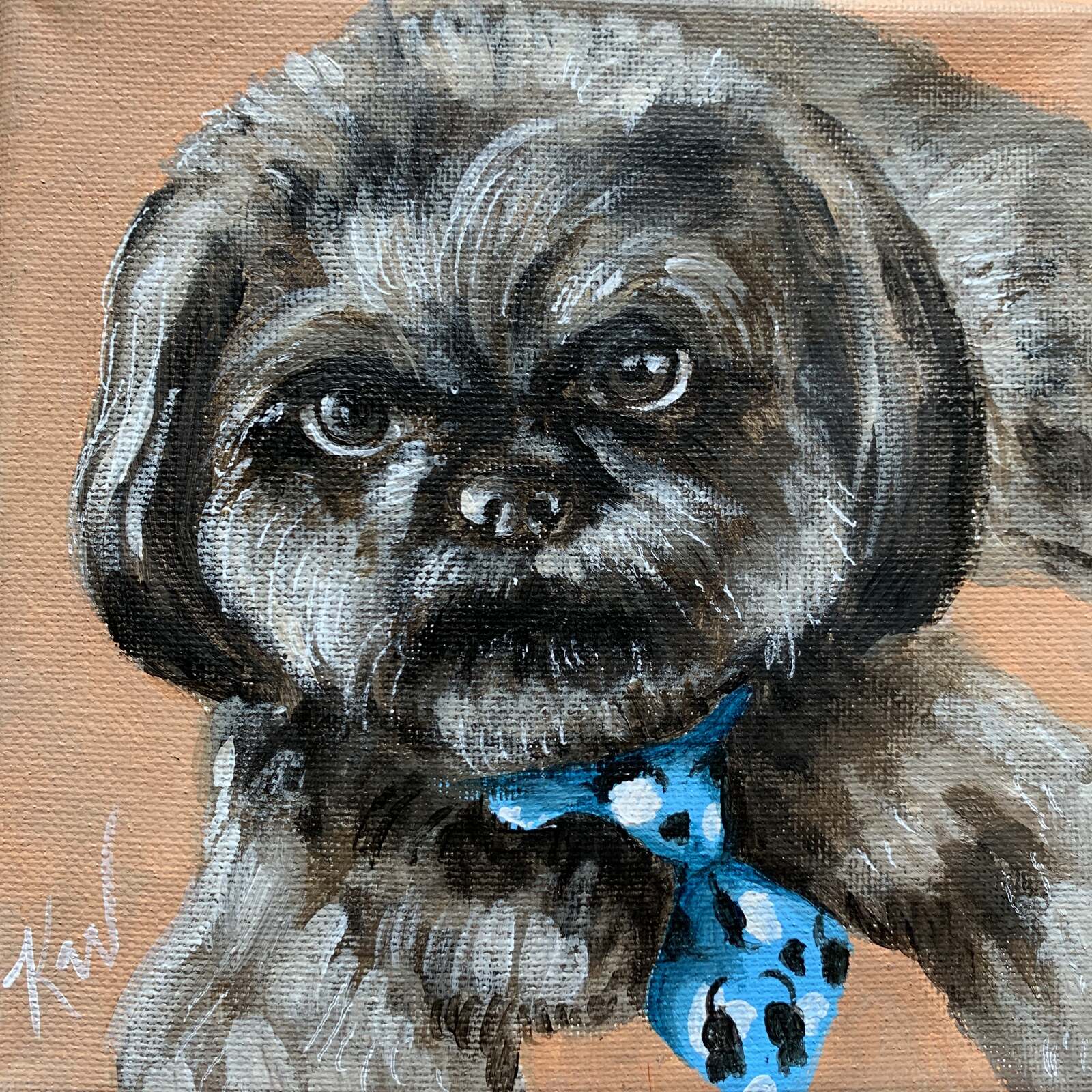 Chewy Pet Portraits Kali Wallace