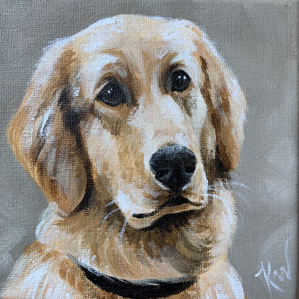 Chewy Pet Portraits Kali Wallace
