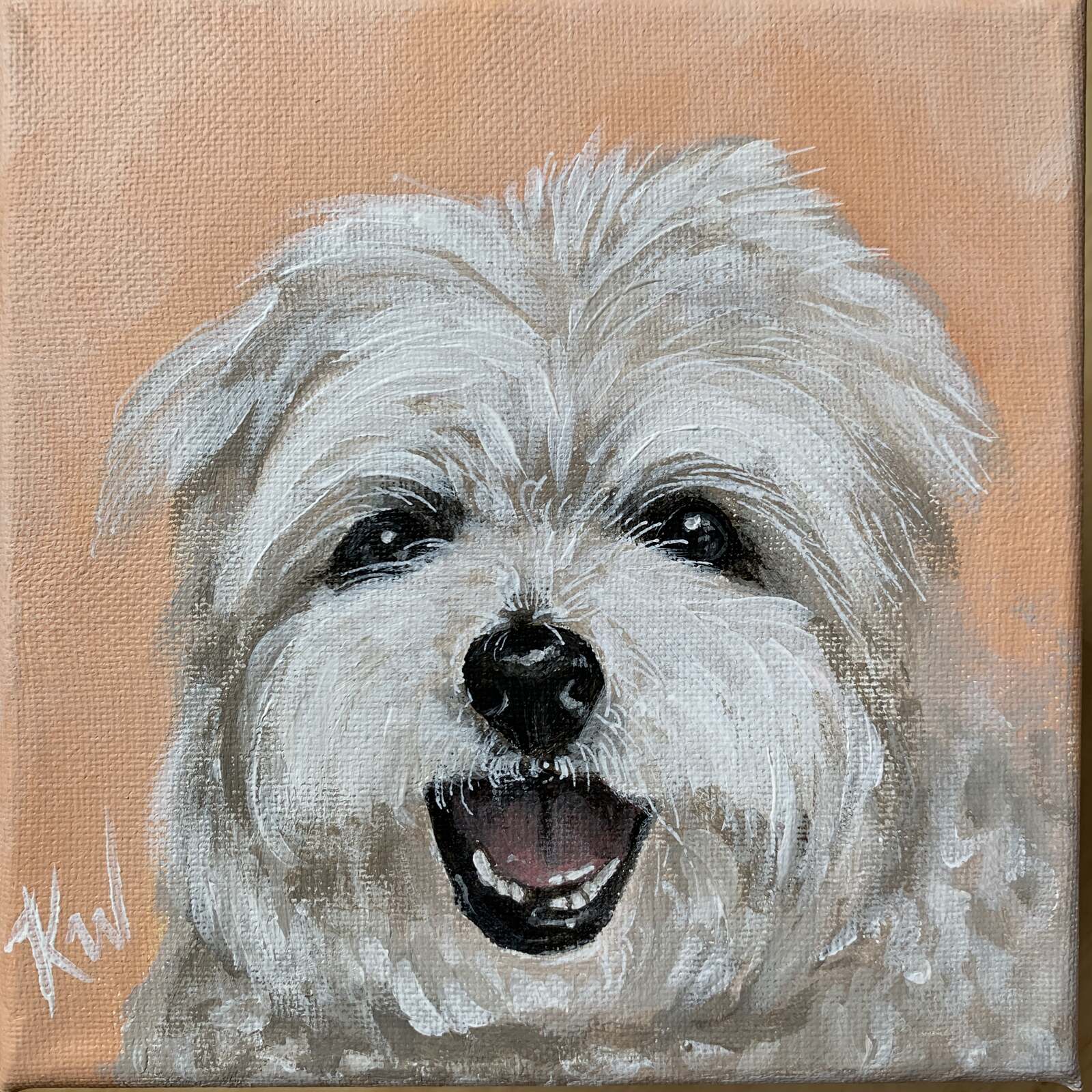 Chewy Pet Portraits Kali Wallace