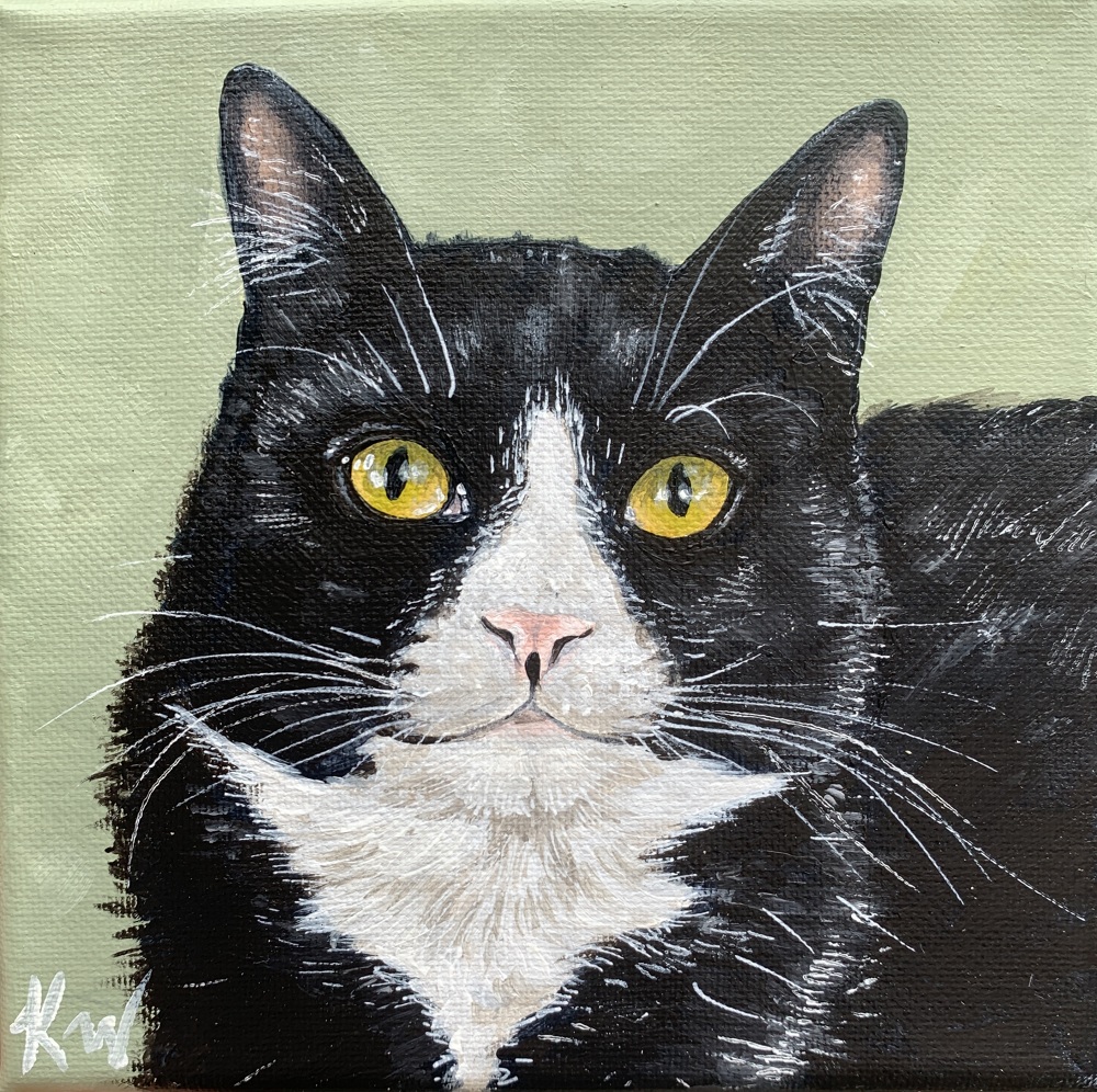 Chewy Pet Portraits Kali Wallace