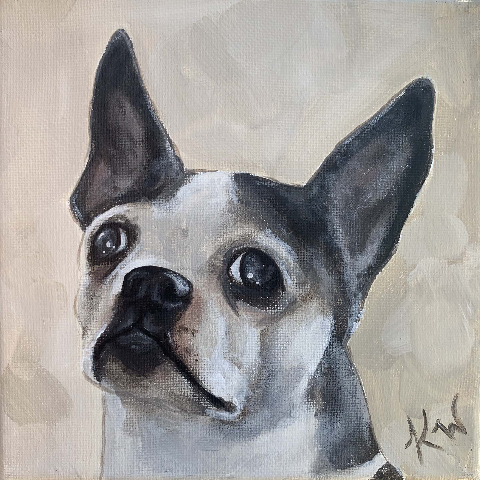 Chewy Pet Portraits Kali Wallace