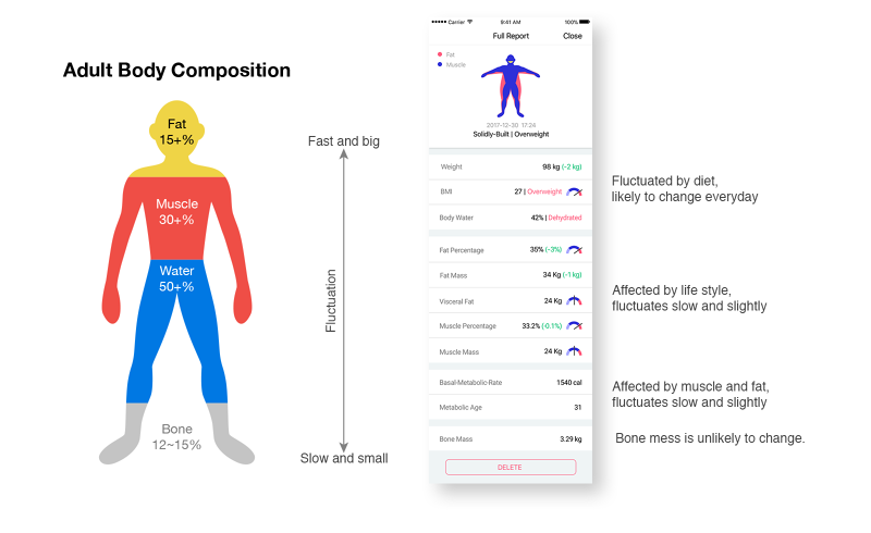 BODY COMPOSITION SCALE - Kelsey Tang | Product Designer