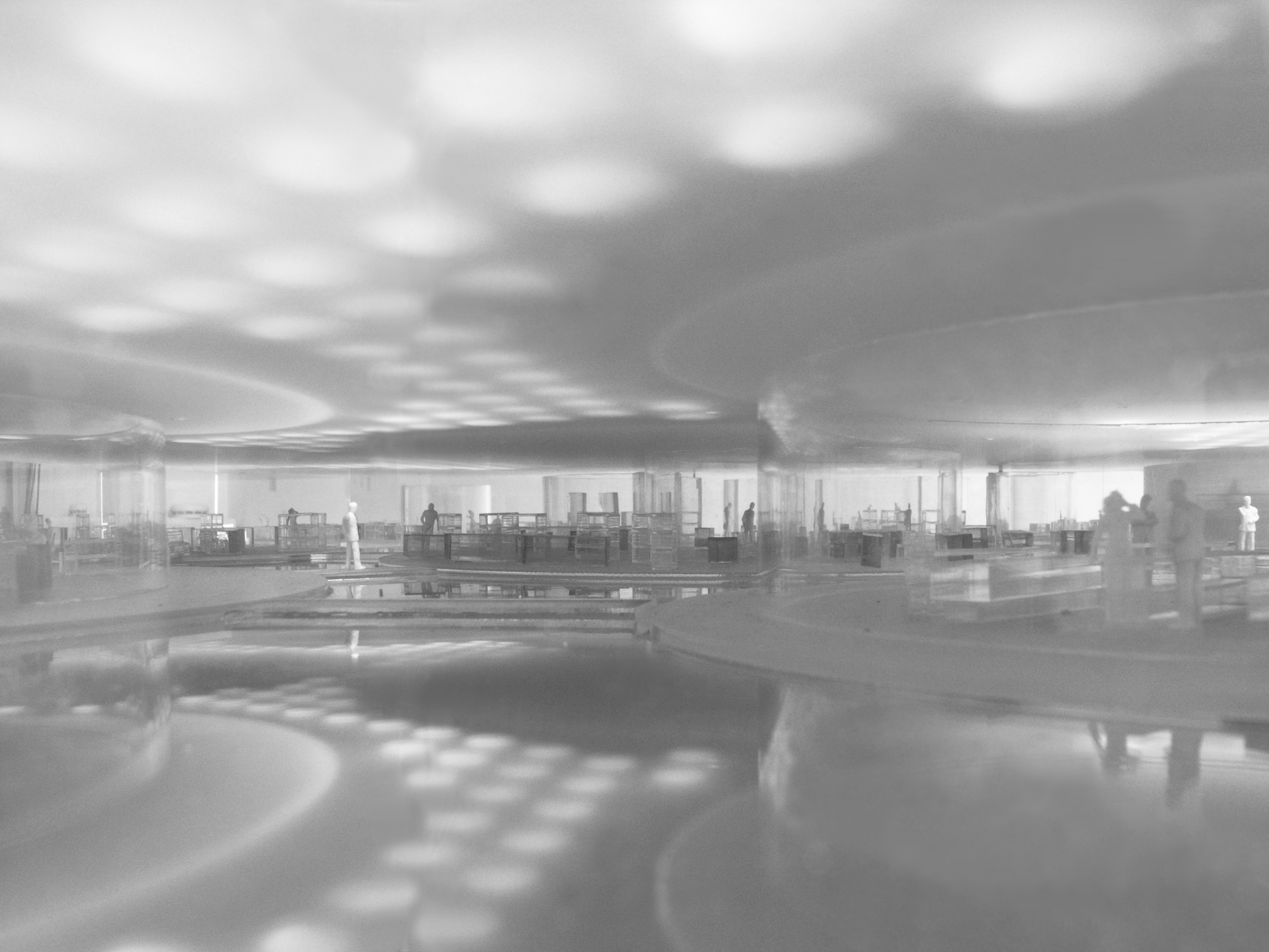 Center for Regenerative Medicine Barend Koolhaas