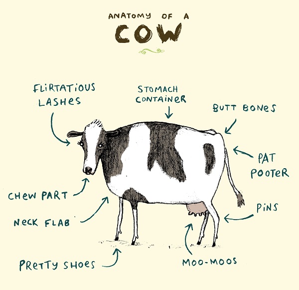 Animal Anatomy - Sophie Corrigan