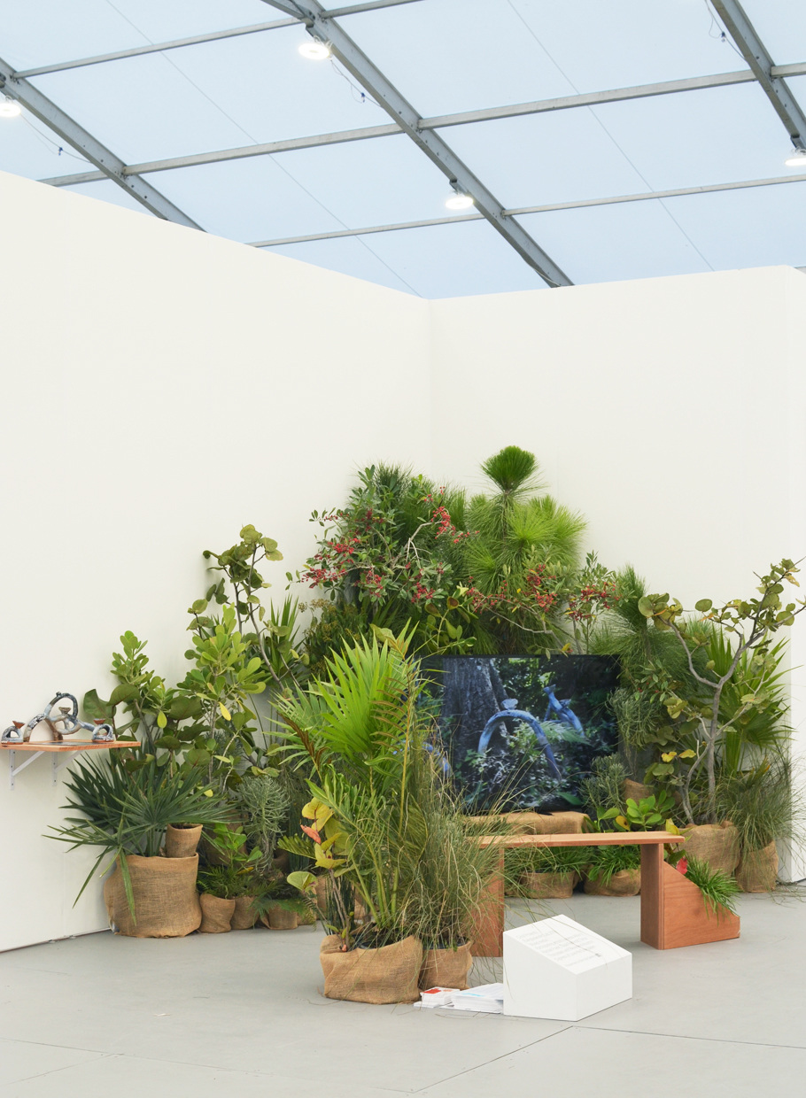 Recent Exhibitions Rachel Frank