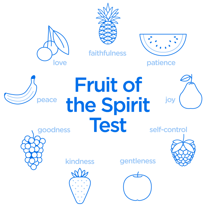 Fruit Test Lariat Creative • Bellingham Flag • Seattle Flag