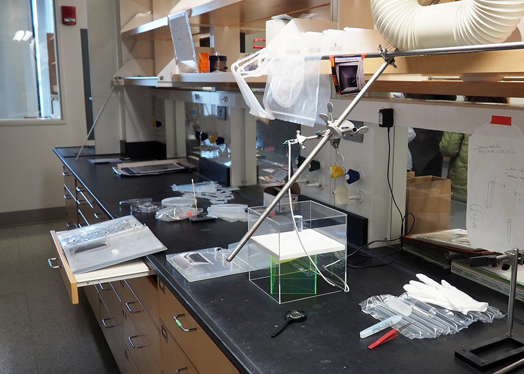 Looking for Space: Arriving at a Laboratory Under Construction - Angel ...