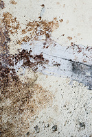 Dario Garofalo portfolio image 6