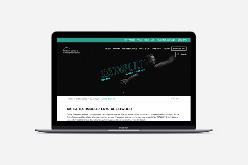 CATAPULT May Simargool Illustrator & Designer