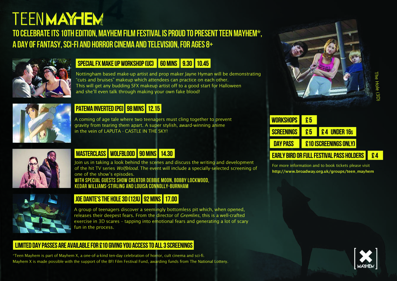 Teenmayhem Flyer Helmet Creative