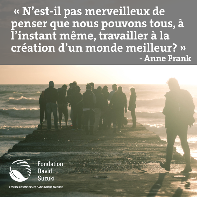 Fondation David Suzuki Social Media Rtzn