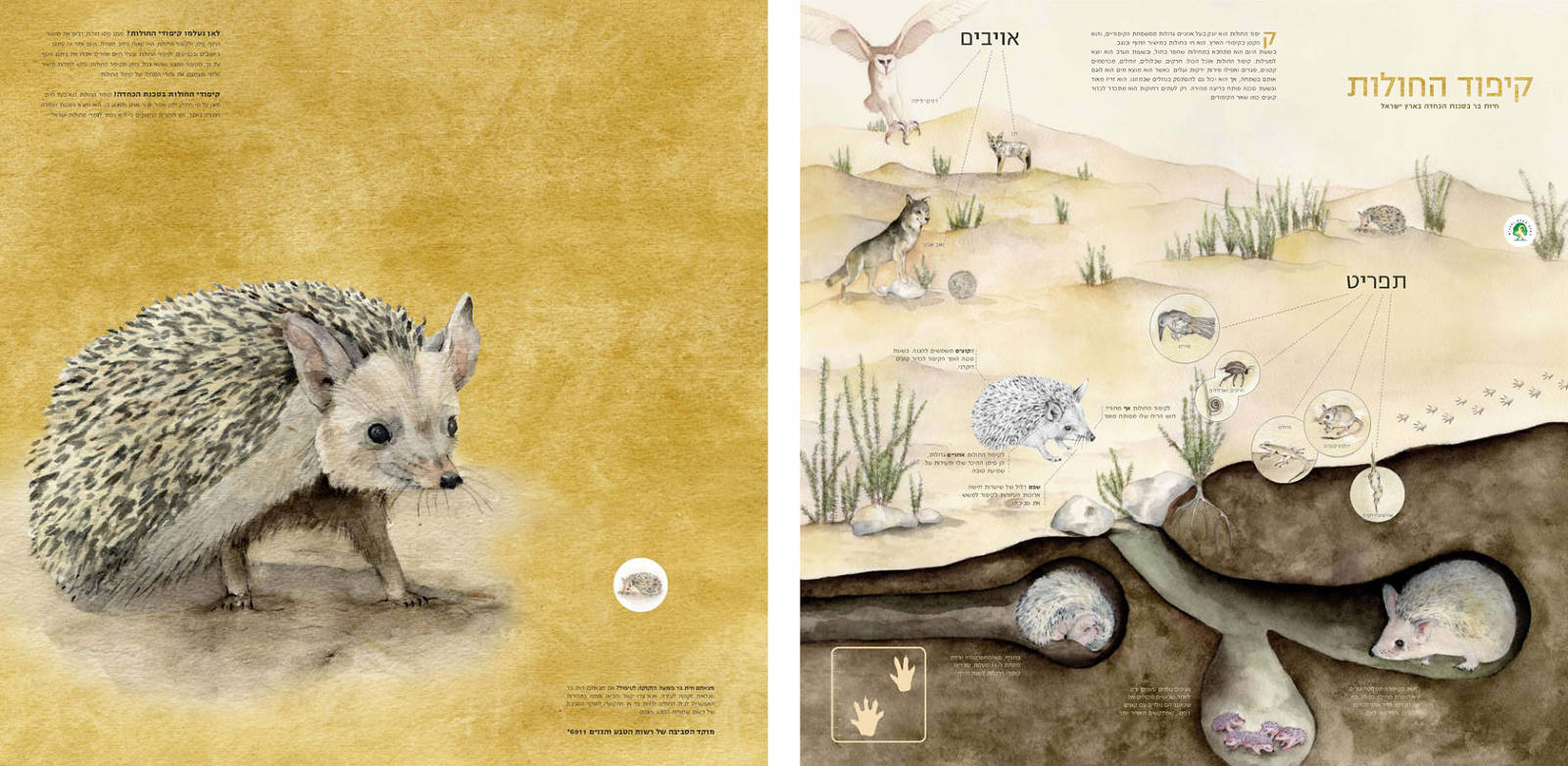 Endangered wild animals of israel - dikla krispin