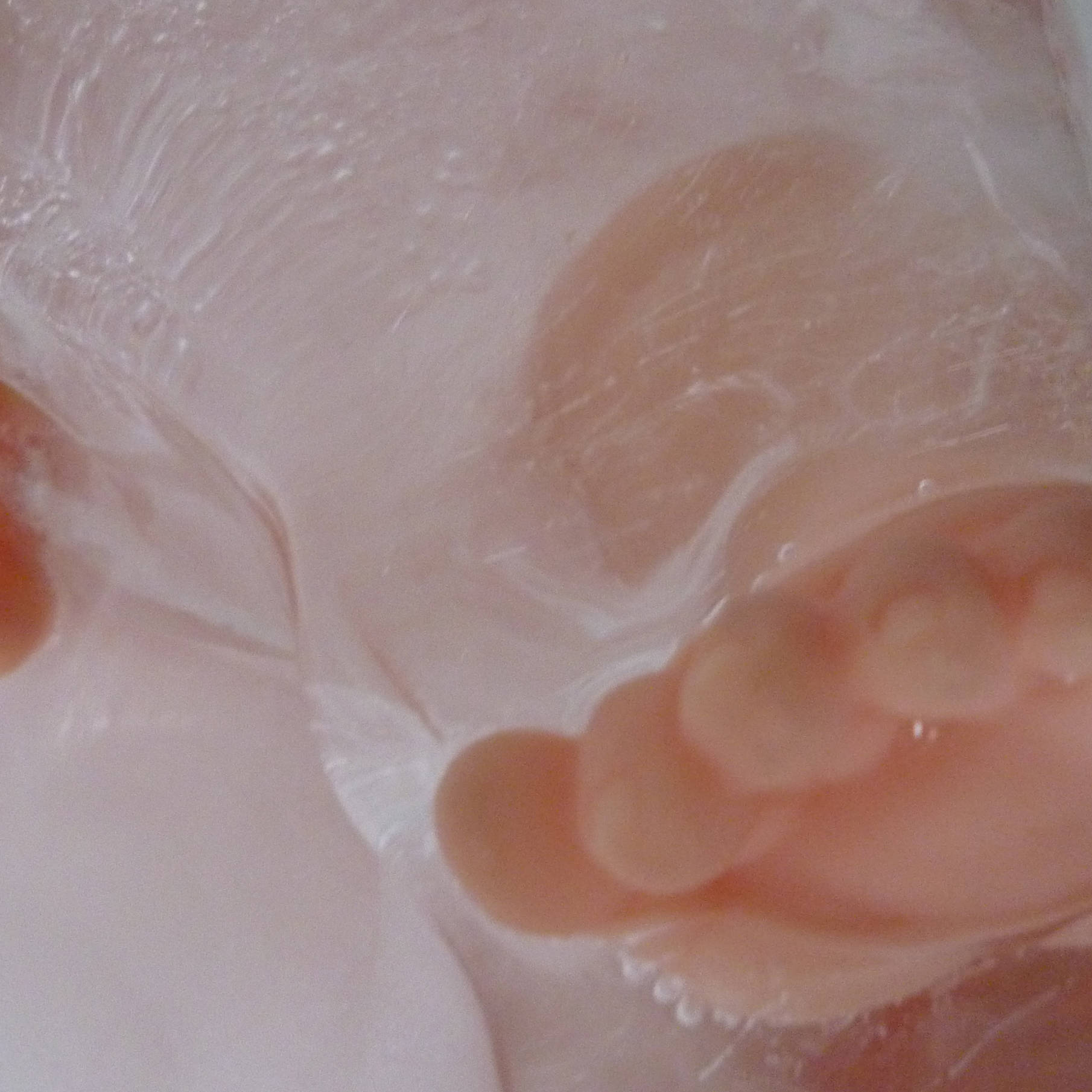 حكمة تعاطف عطف عظم Affaire Des Bebe Congele Anneketaschen Com حكمة تعاطف عطف عظم Affaire Des Bebe Congele Anneketaschen Com