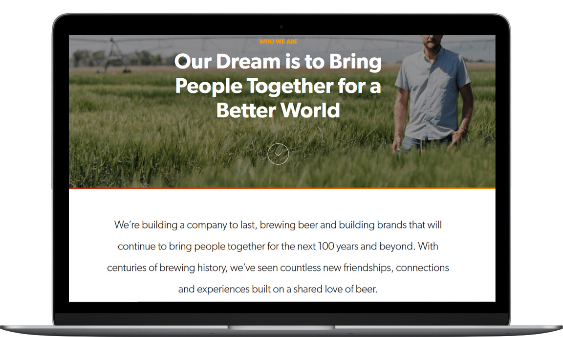 AB InBev Site Redesign and Social Media - Ben's Ads