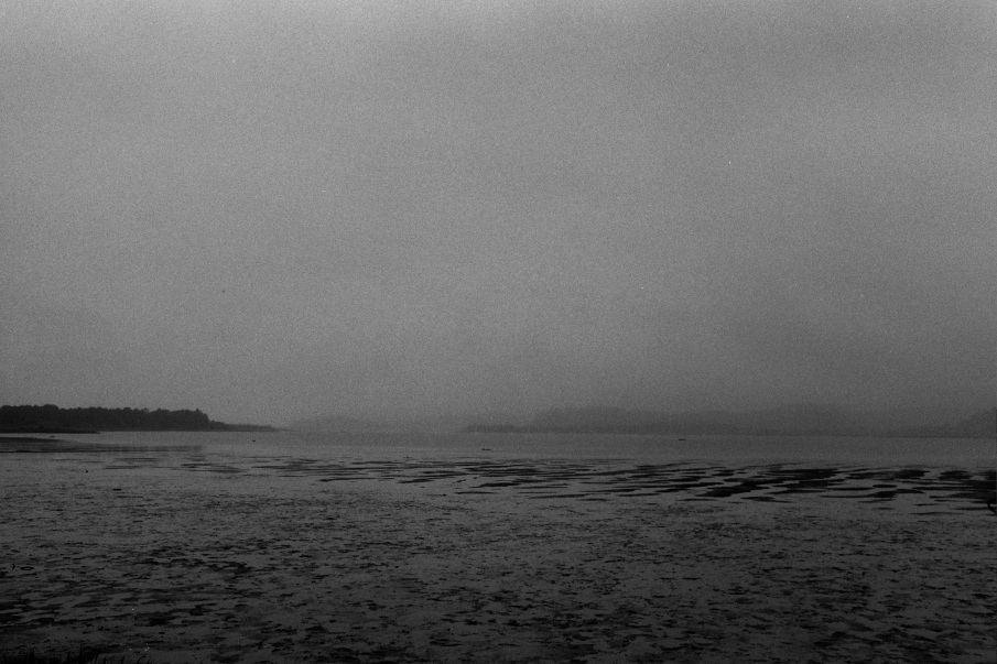Siletz Bay Landscape and Memory