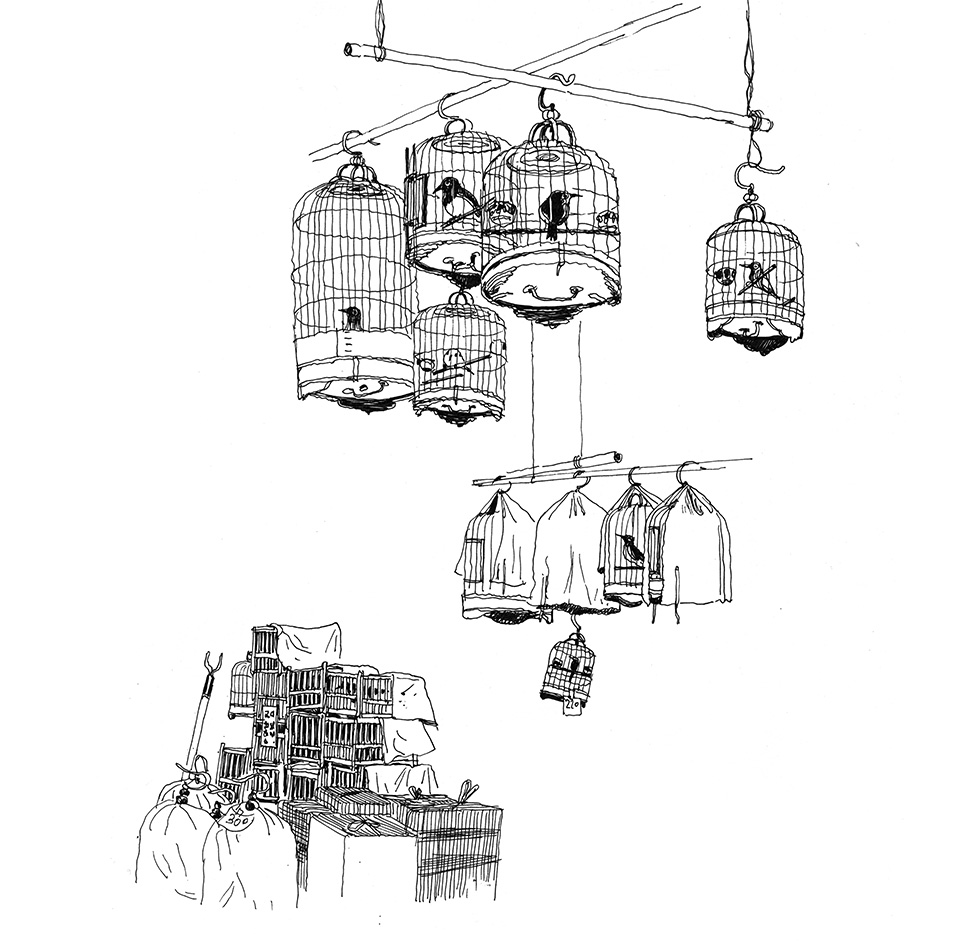 Lieux / Places Claire de Gastold