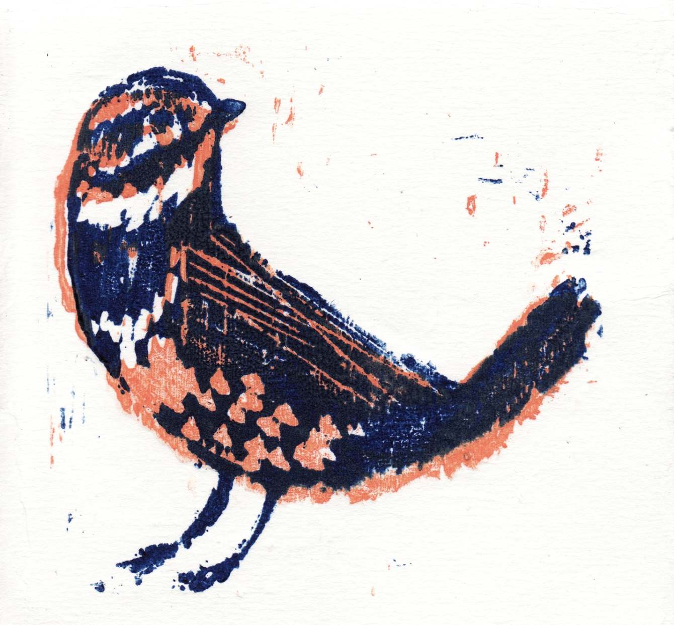 bird - woodcut - viola niccolai