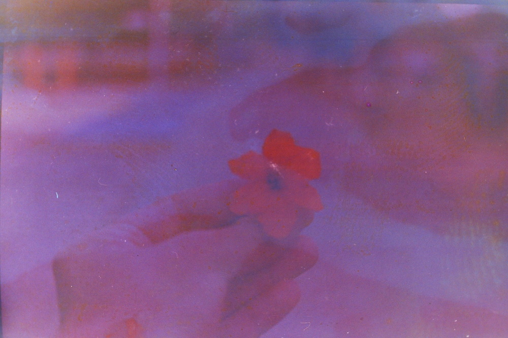vomit film - geigertree