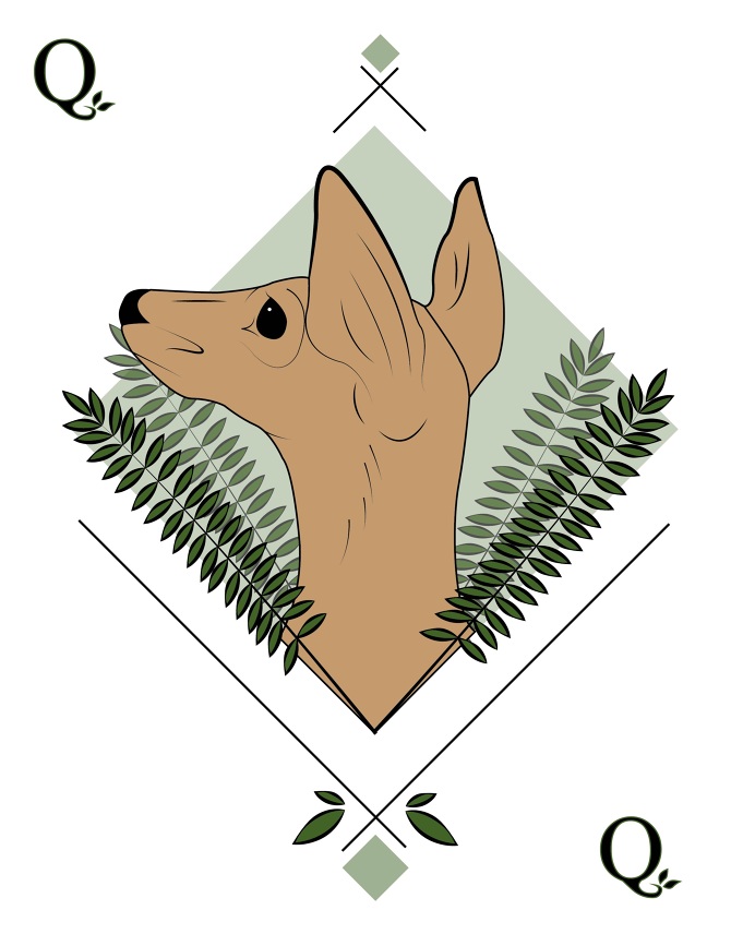 Woodland Critters Face Cards Maddie Bloomer