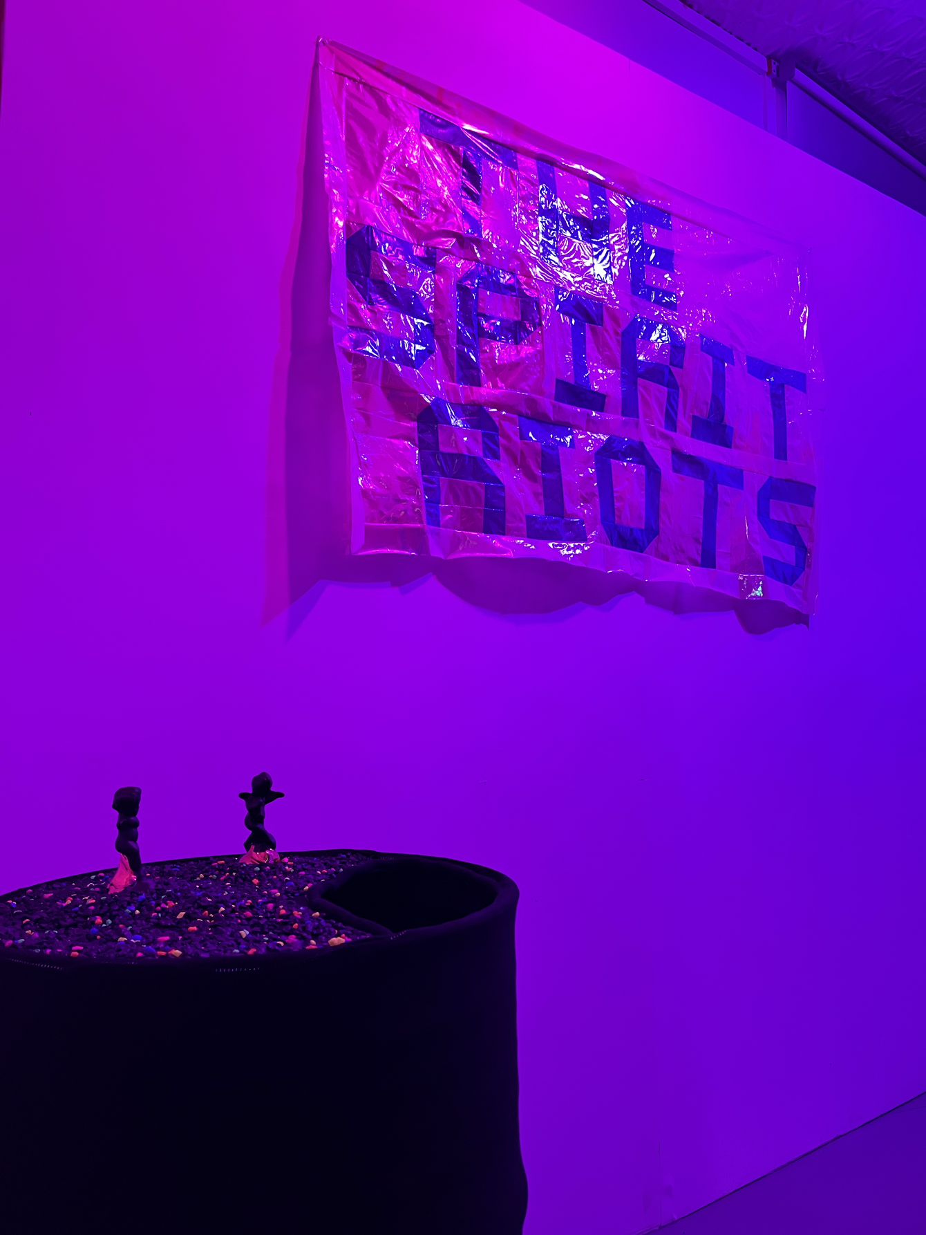 Spirits Riot The Spirit Riots and The Body Glows - Kayle Karbowski