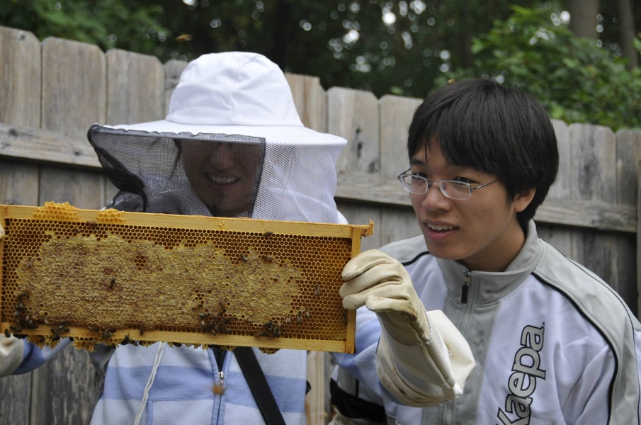 Princeton Bee Team