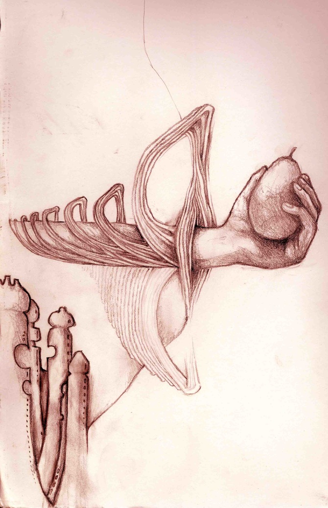 Birth Unfinished